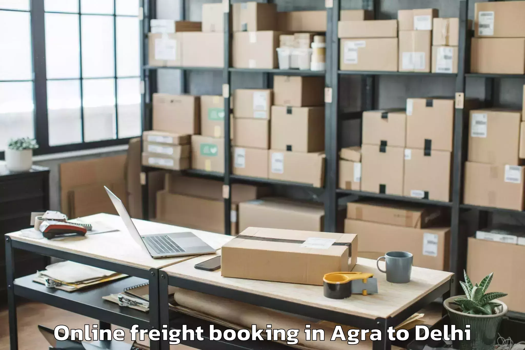 Professional Agra to Ambience Mall Vasant Kunj Online Freight Booking